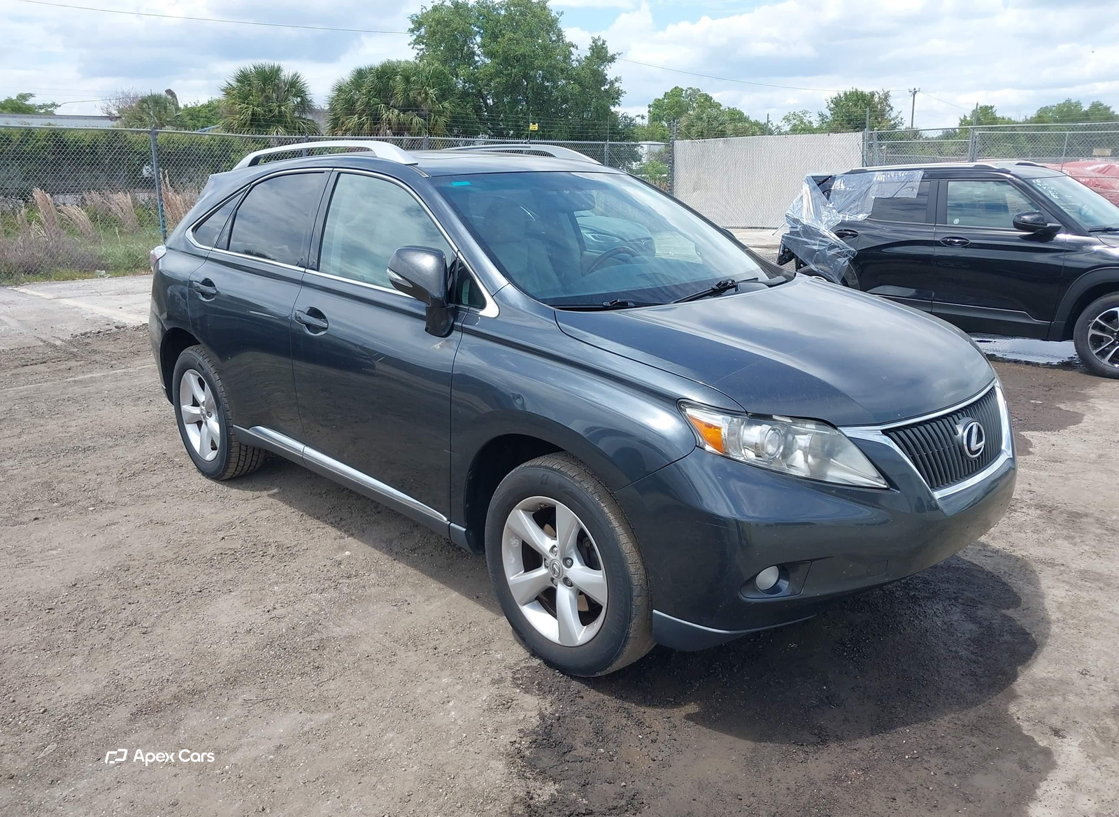 Lexus RX 2010