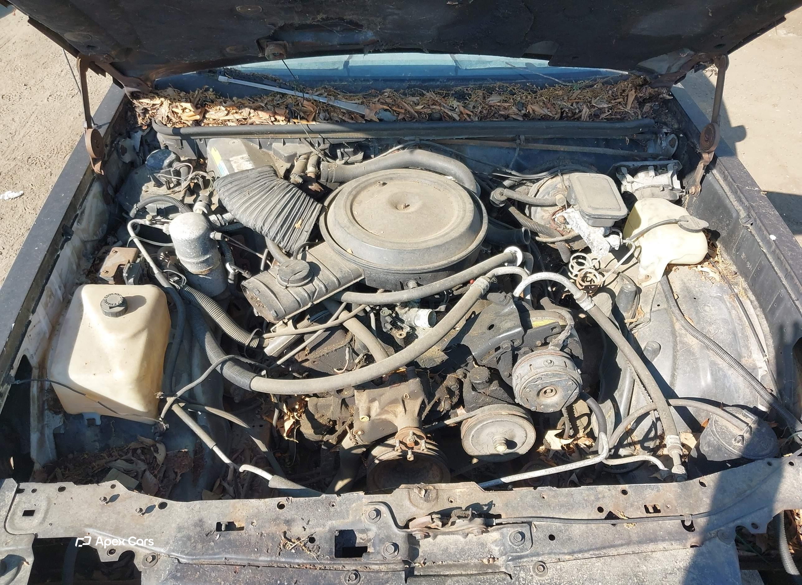 Chevrolet Monte Carlo 1984