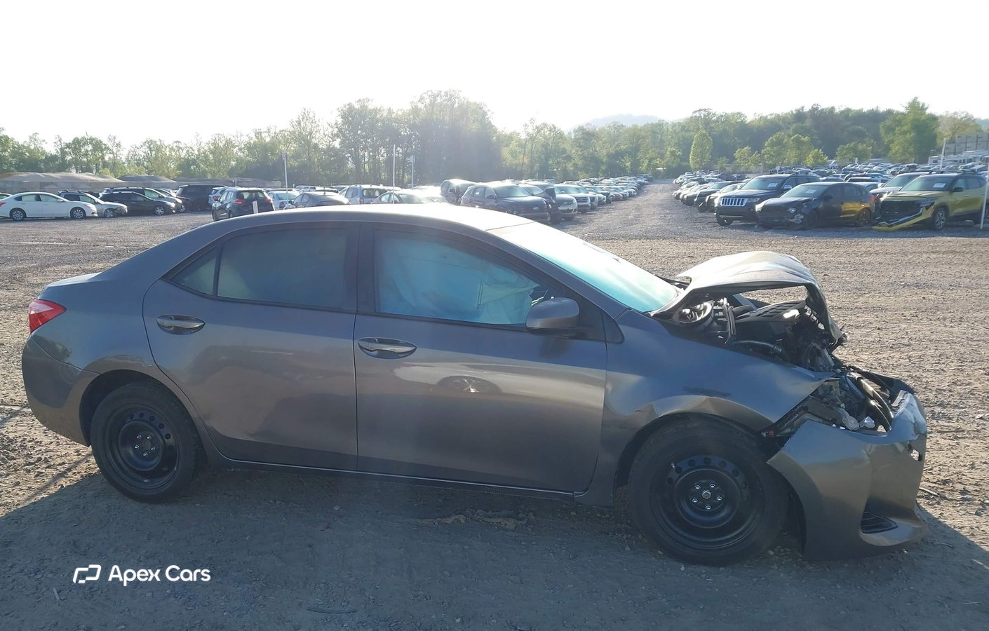 Toyota Corolla 2019