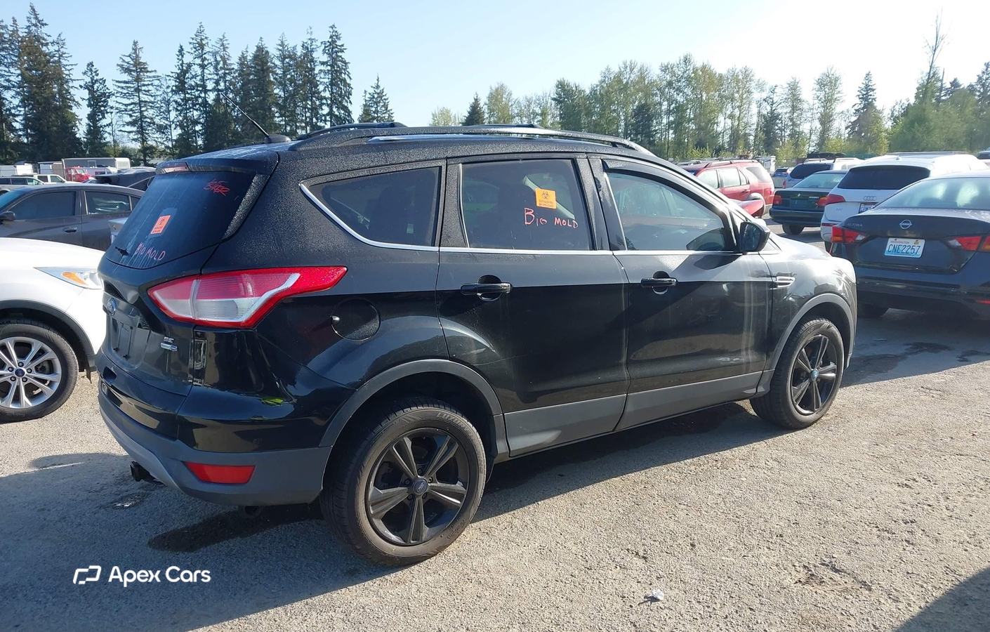 Ford Escape 2013