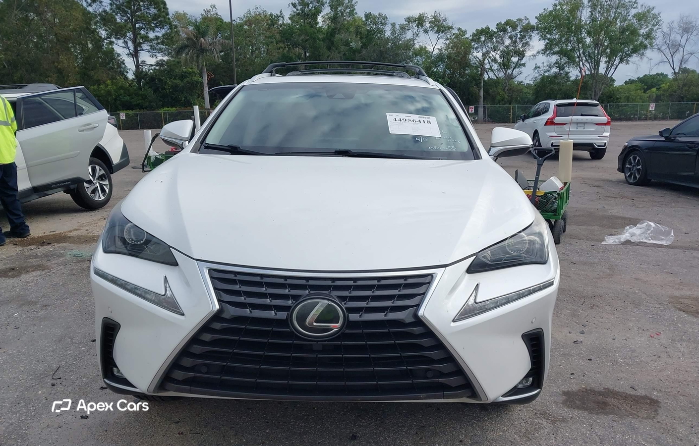 Lexus NX 2018