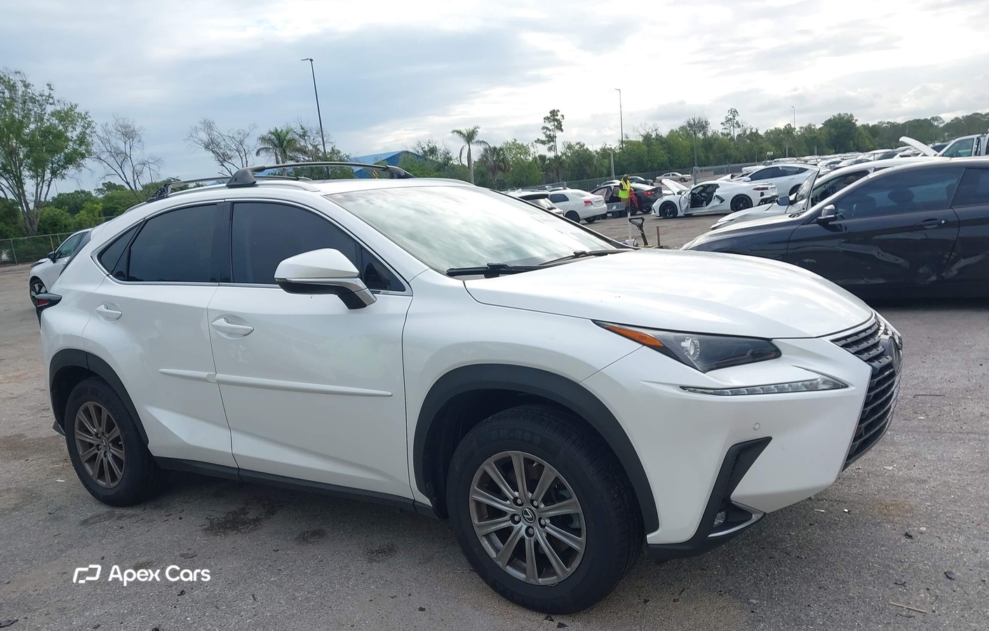 Lexus NX 2018