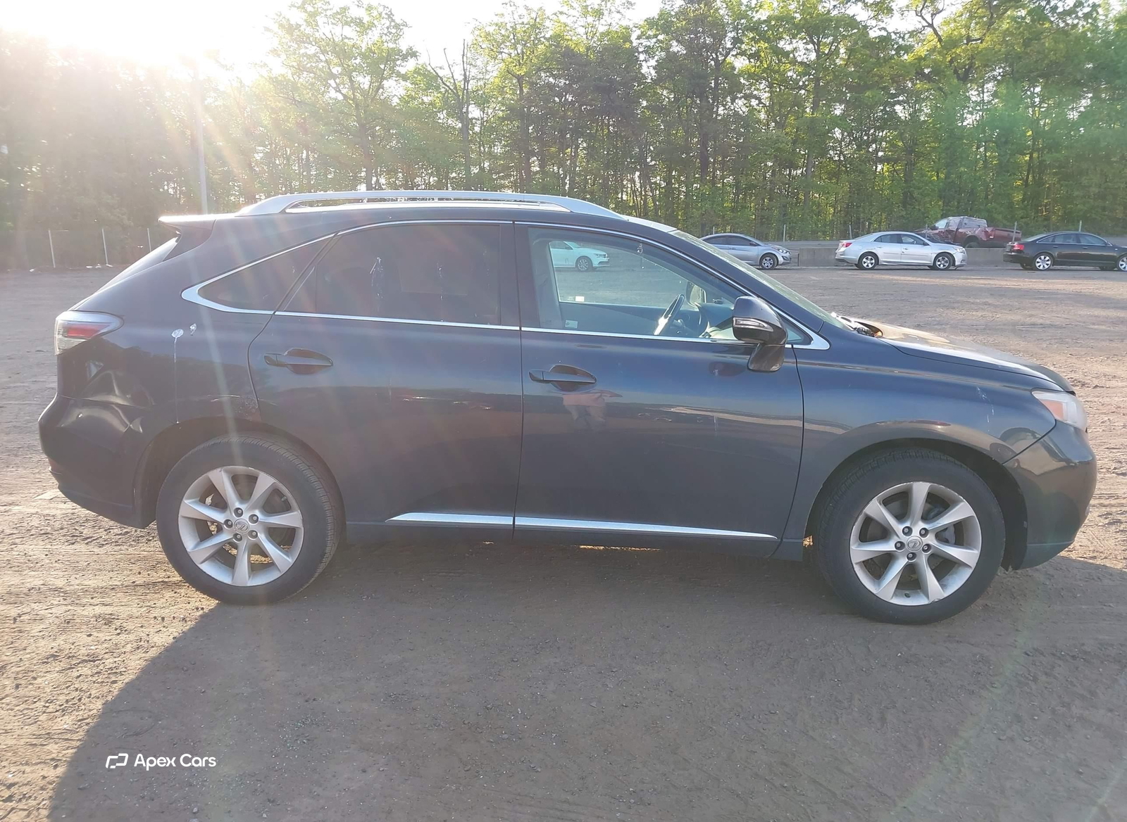 Lexus RX 2010