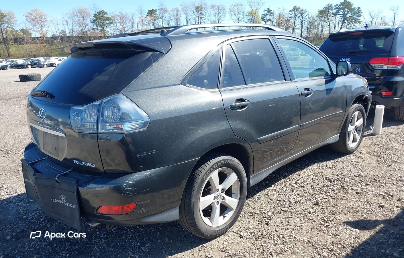 Lexus RX 2004