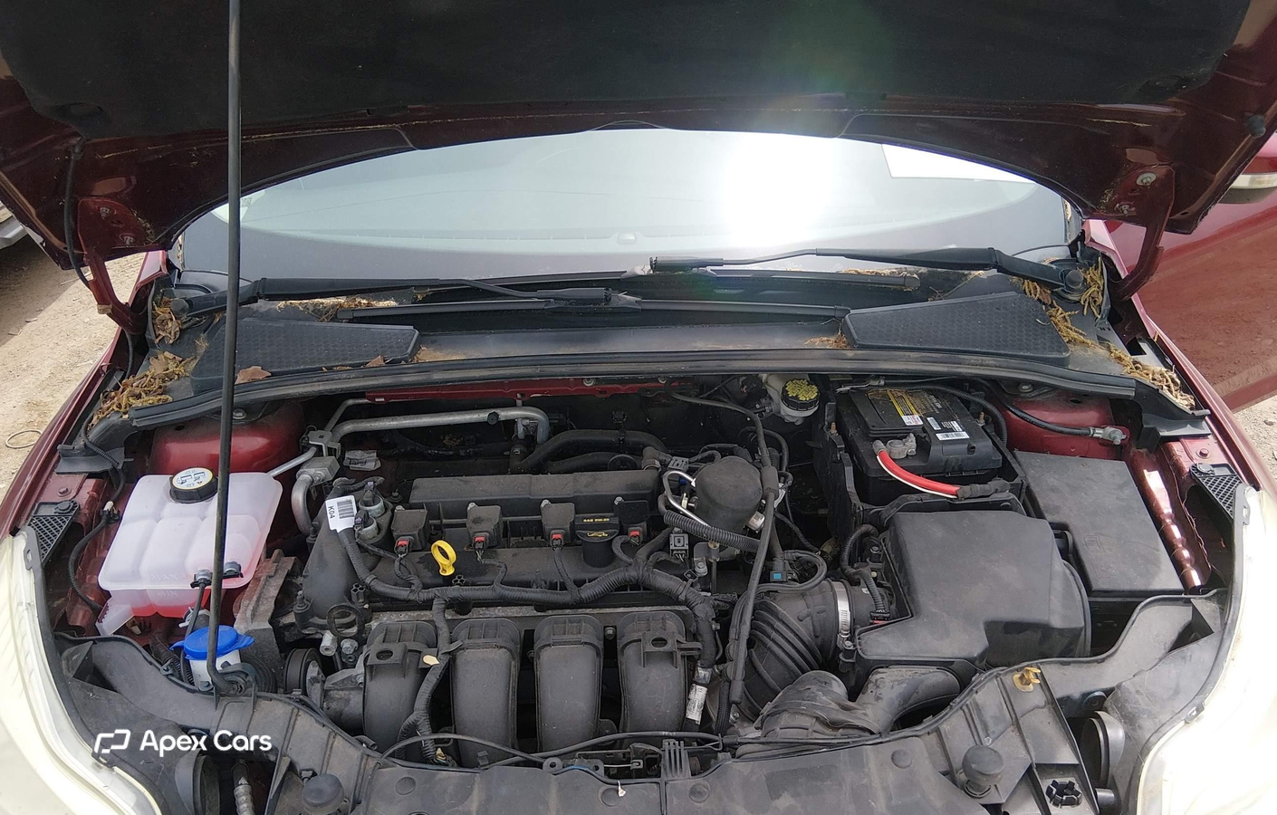 Ford Focus 2014