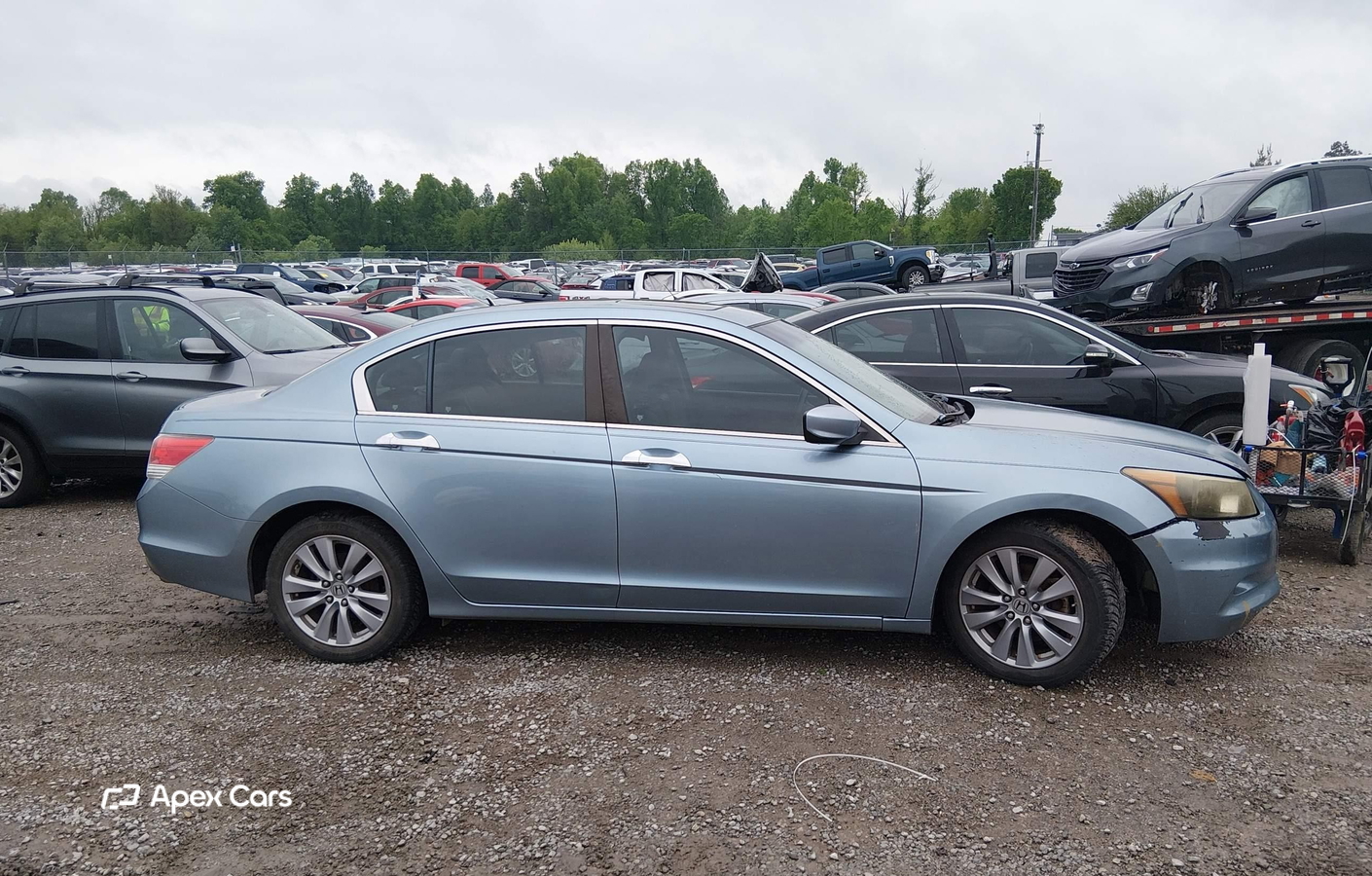 Honda Accord 2011