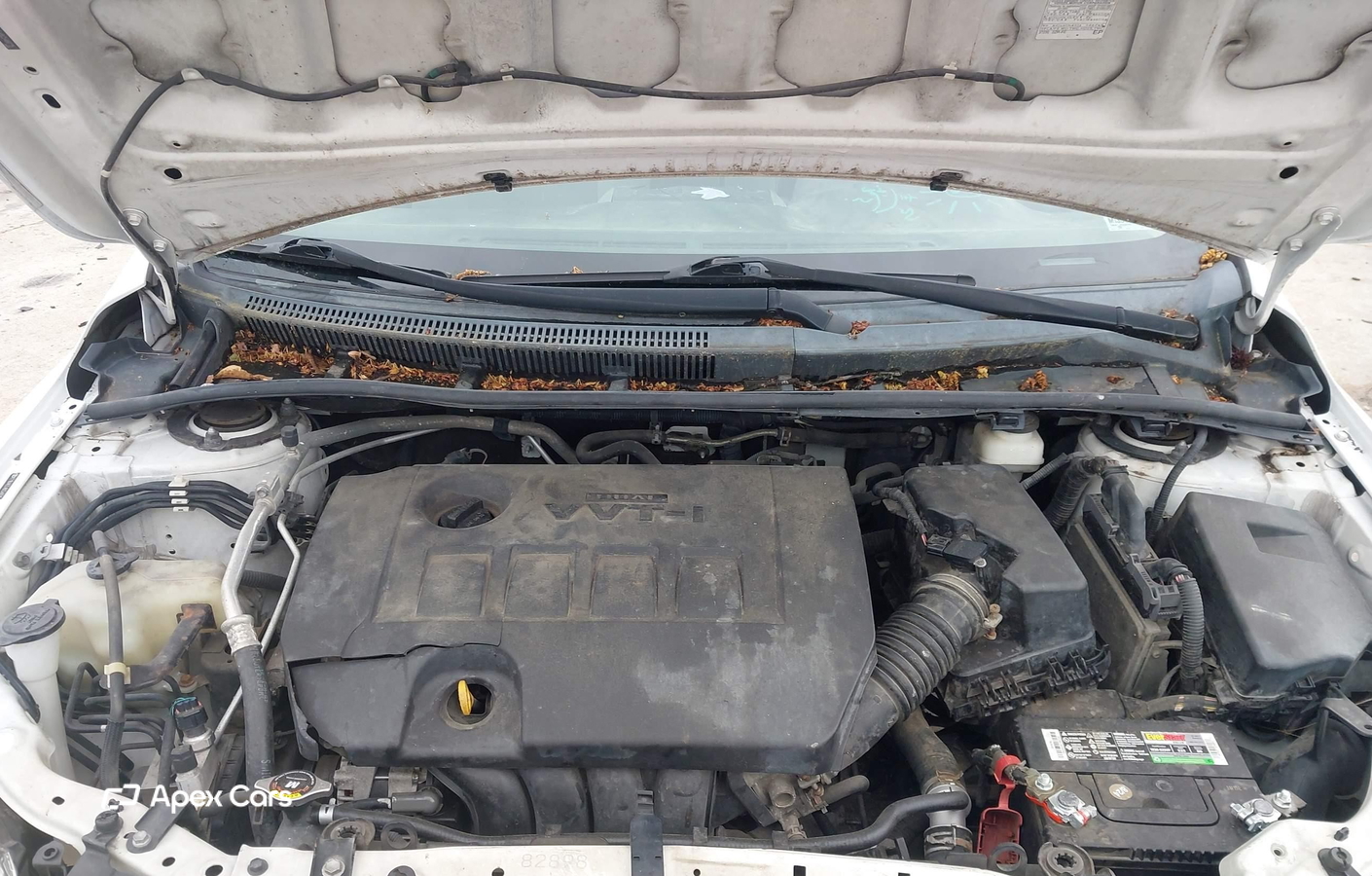 Toyota Corolla 2011