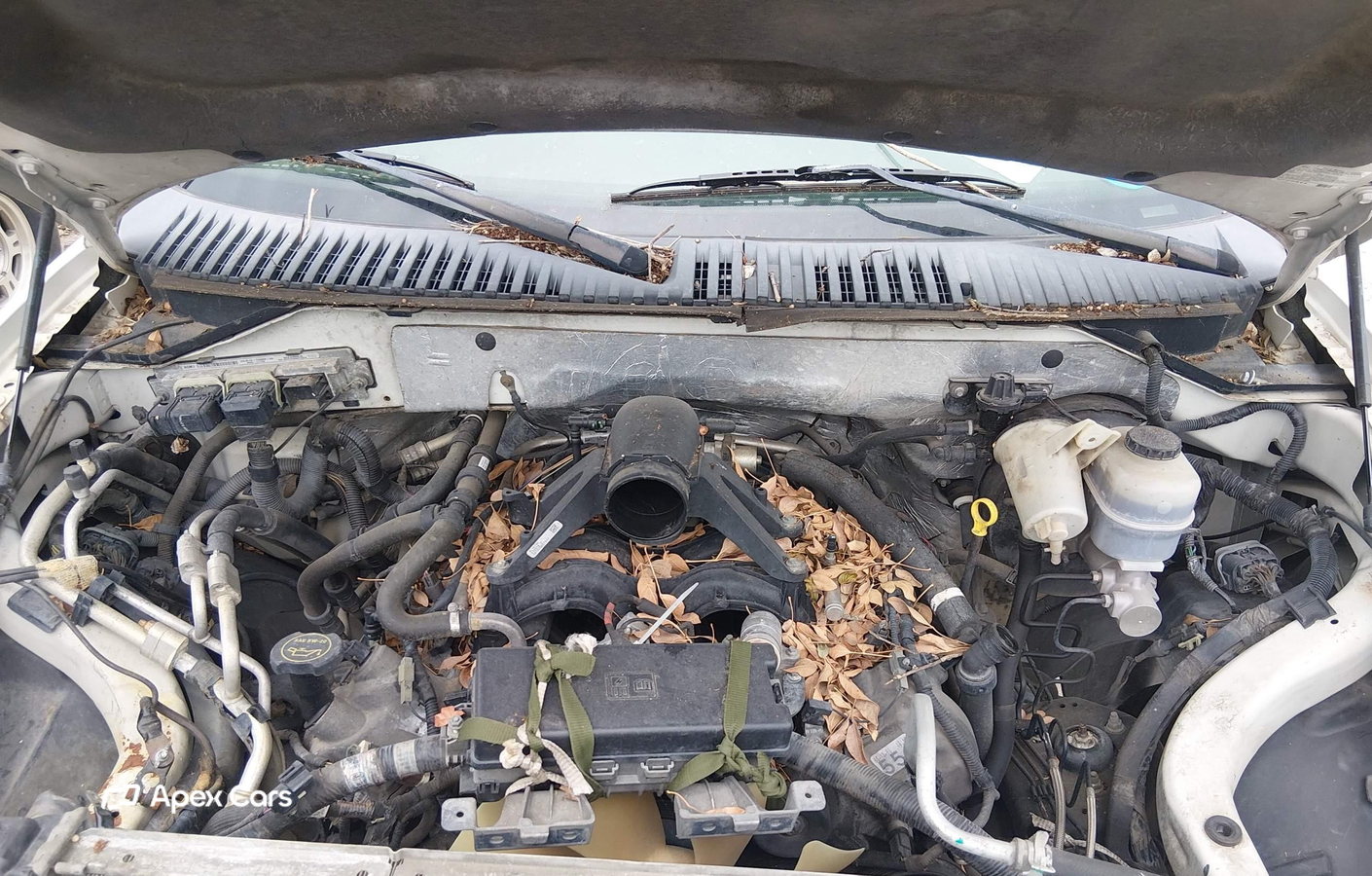 Ford Expedition 2008