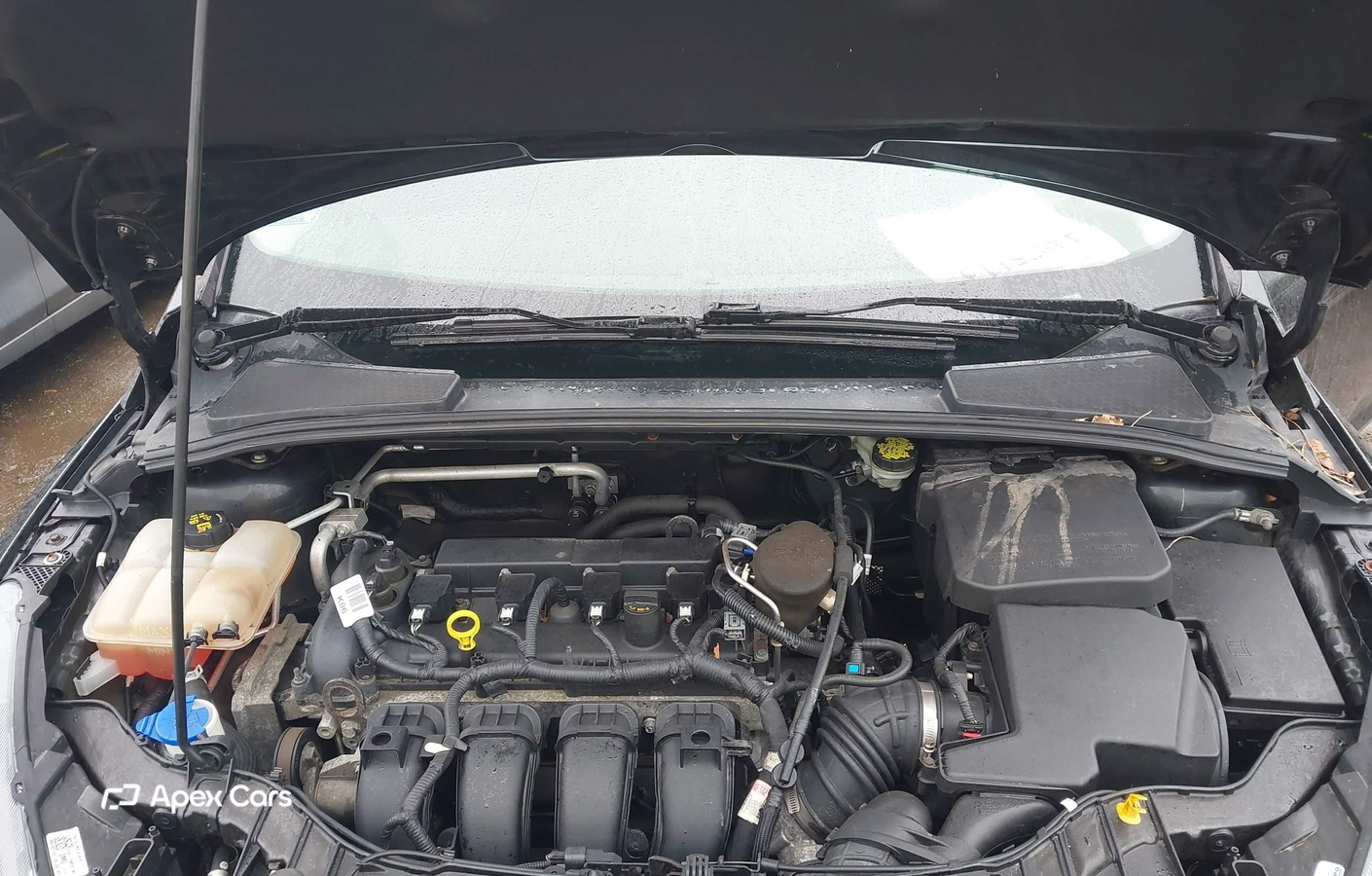 Ford Focus 2015
