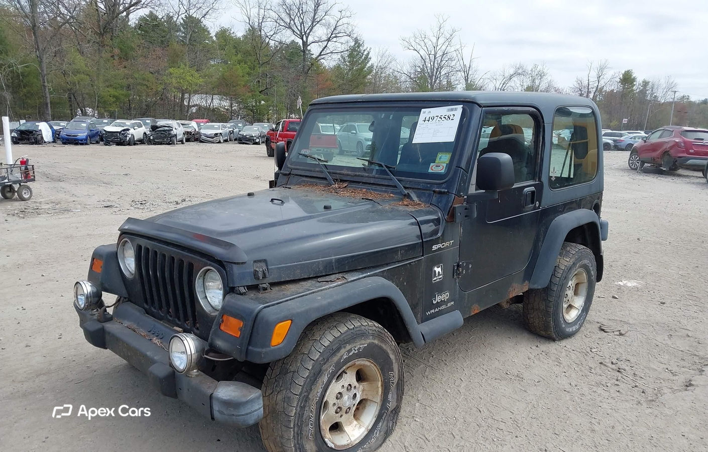 Jeep Wrangler 2003