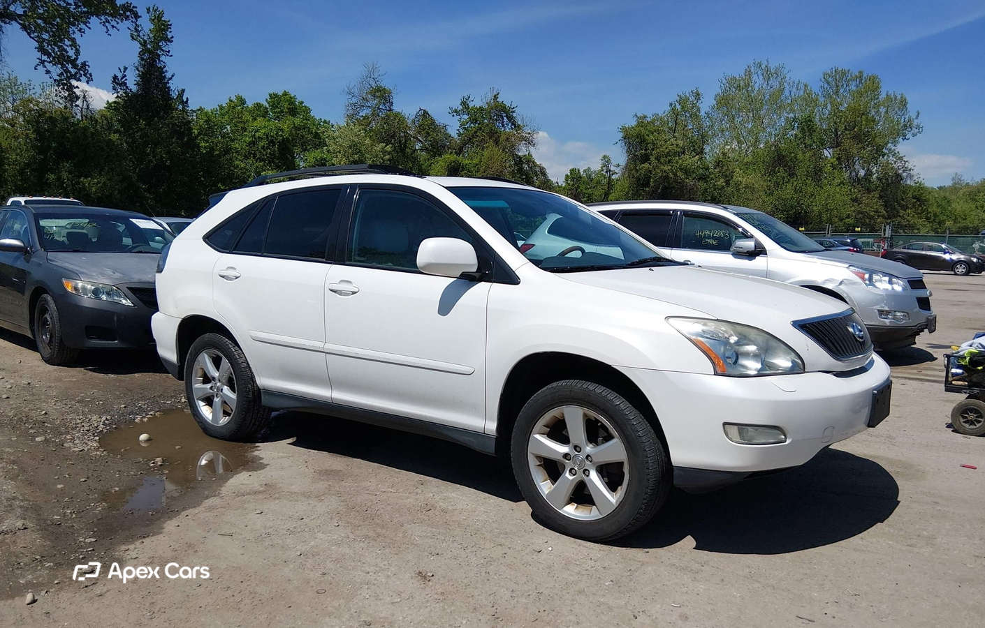 Lexus RX 2006