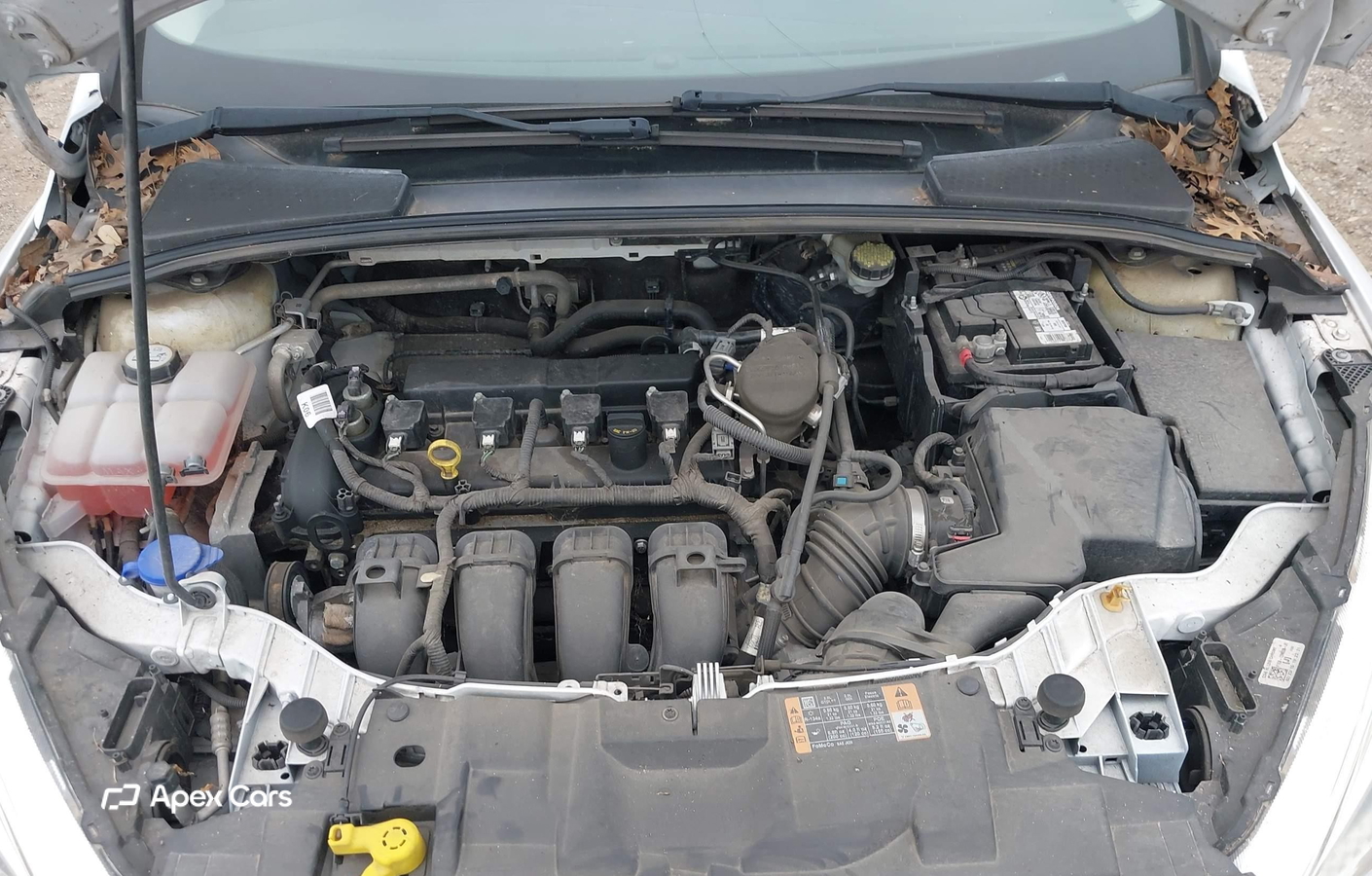 Ford Focus 2015