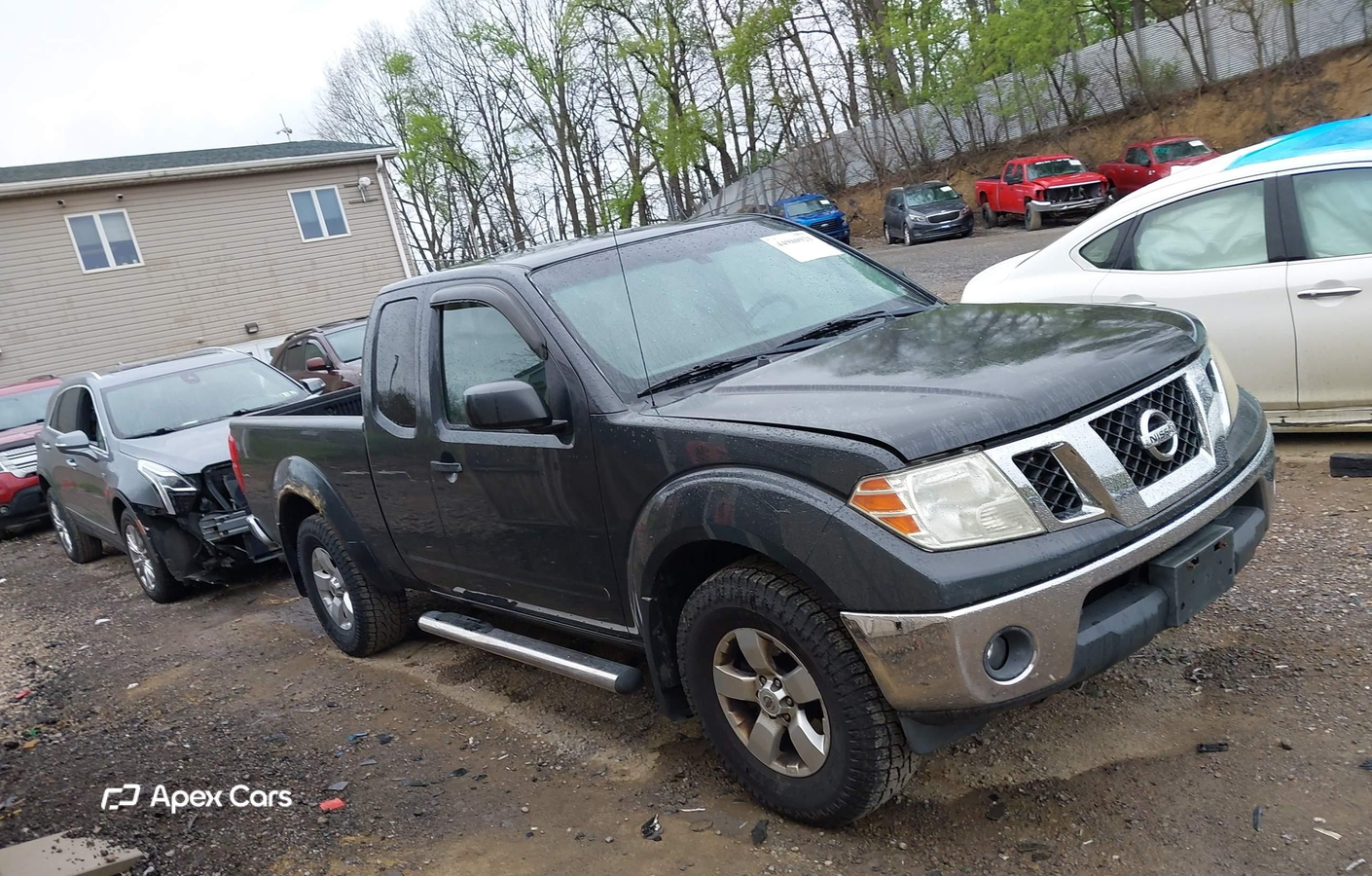 Nissan Navara (Frontier) 2010