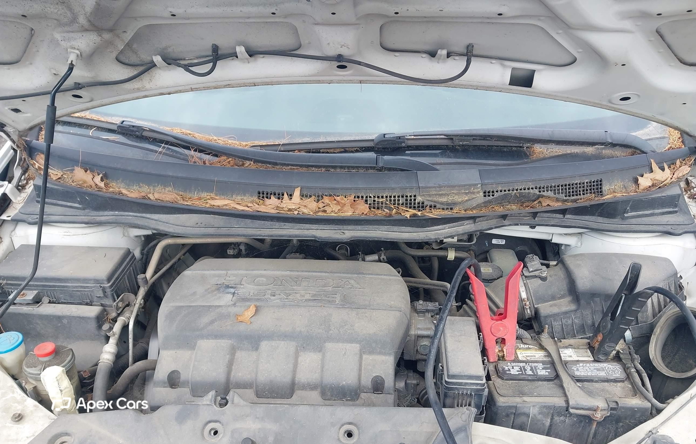 Honda Odyssey 2011