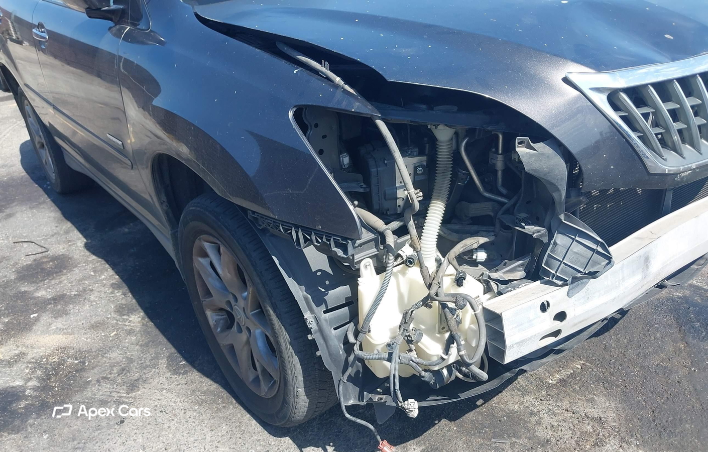 Lexus RX 2009