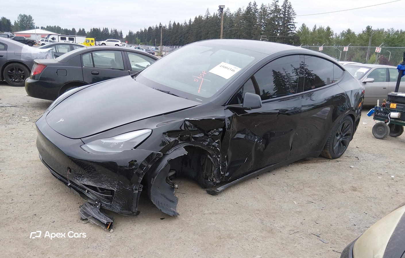 Tesla Model Y 2024