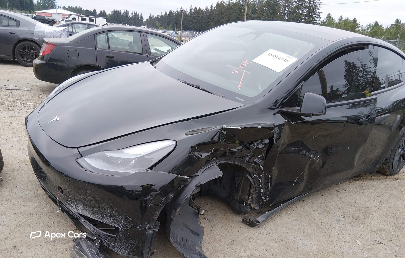 Tesla Model Y 2024
