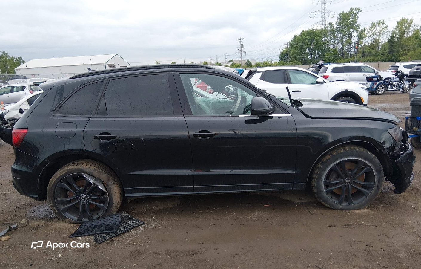 Audi SQ5 2015