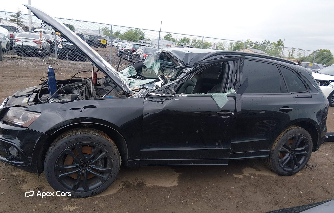 Audi SQ5 2015