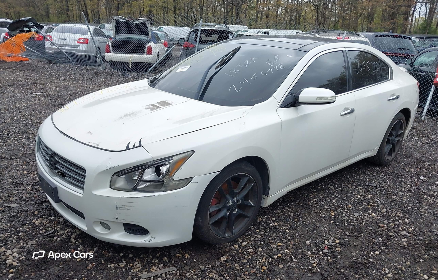 Nissan Maxima 2010