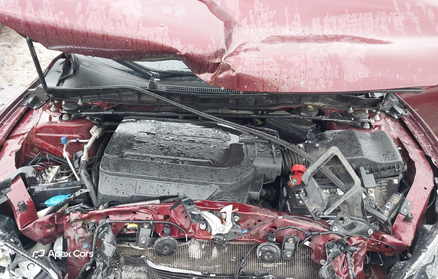 Honda Accord 2013