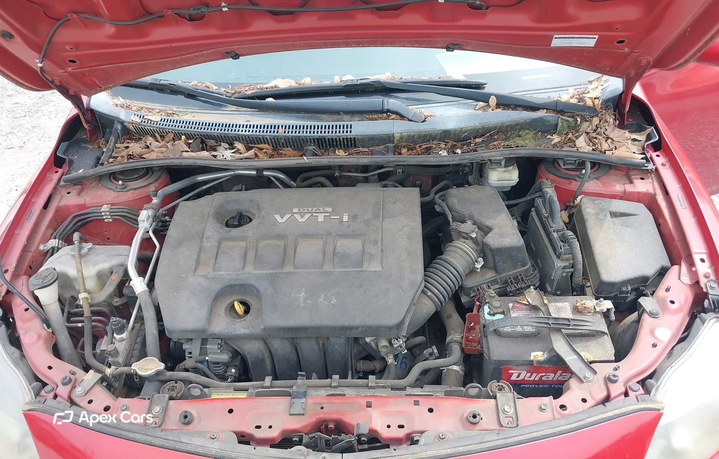 Toyota Corolla 2010
