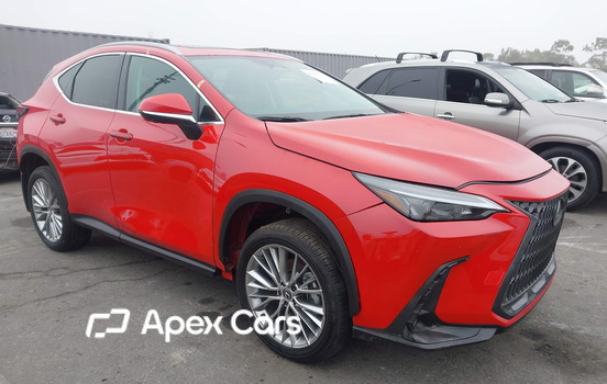 2025 Lexus NX - Zdjęcie 1 z 11