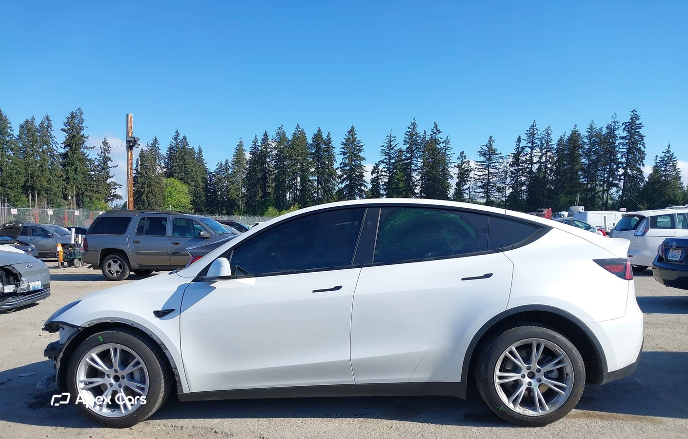 Tesla Model Y 2024