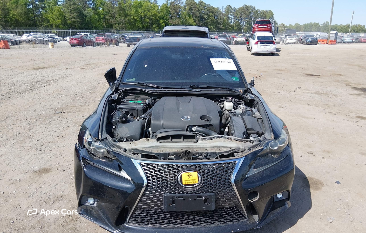 Lexus IS 2014