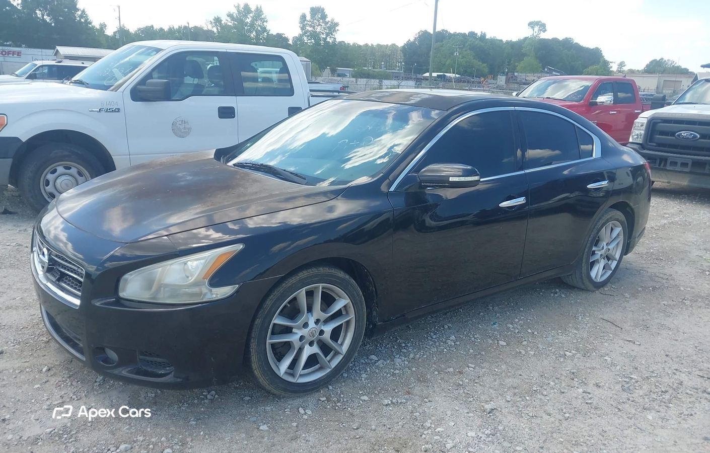 Nissan Maxima 2011