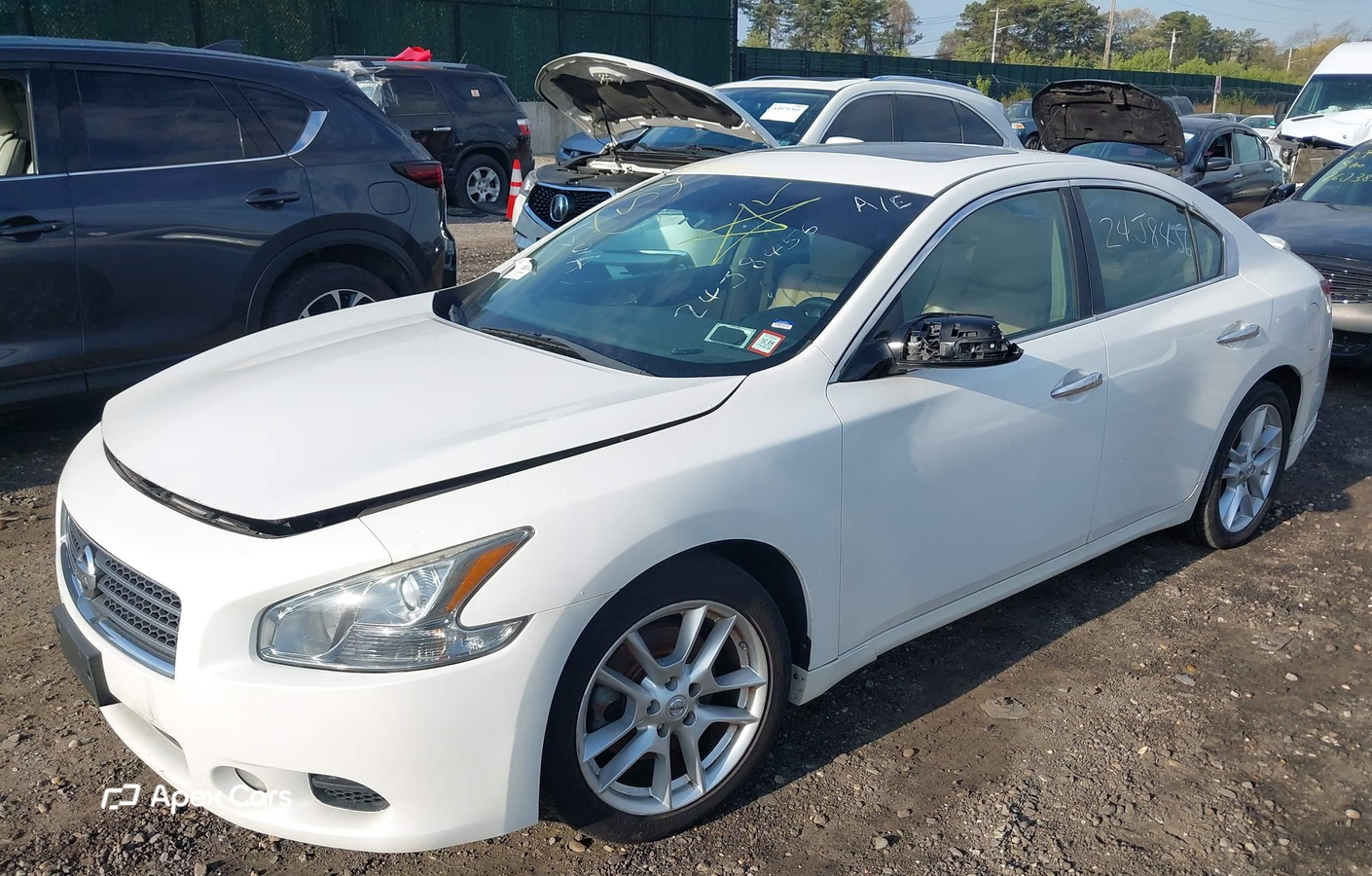Nissan Maxima 2011
