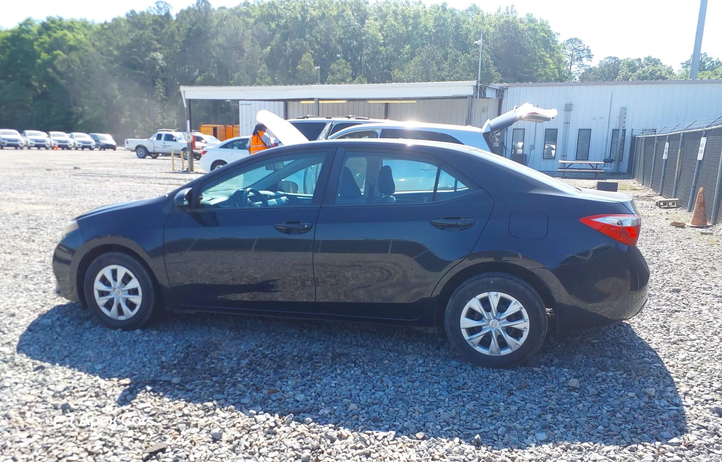 Toyota Corolla 2016