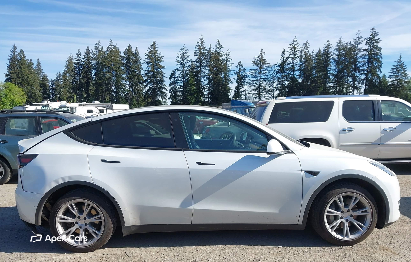Tesla Model Y 2020