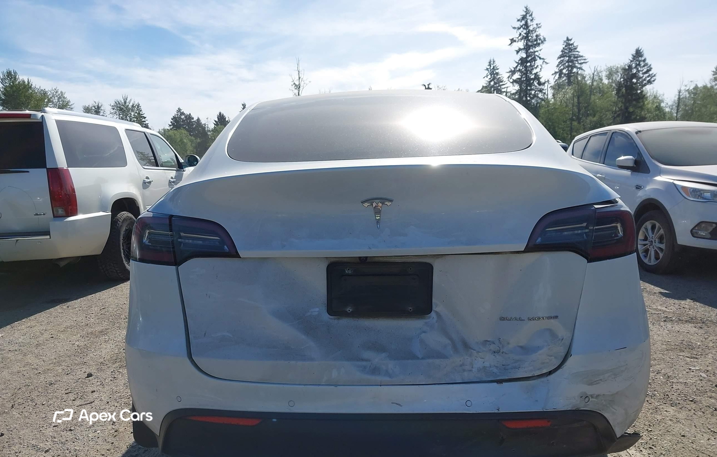 Tesla Model Y 2020