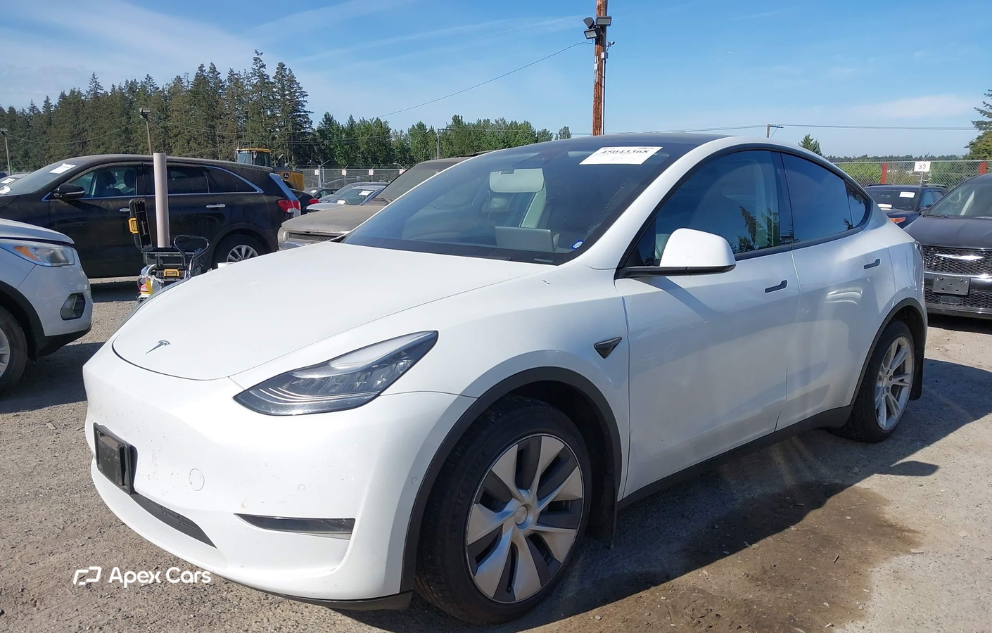 Tesla Model Y 2020
