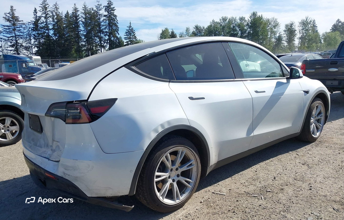 Tesla Model Y 2020