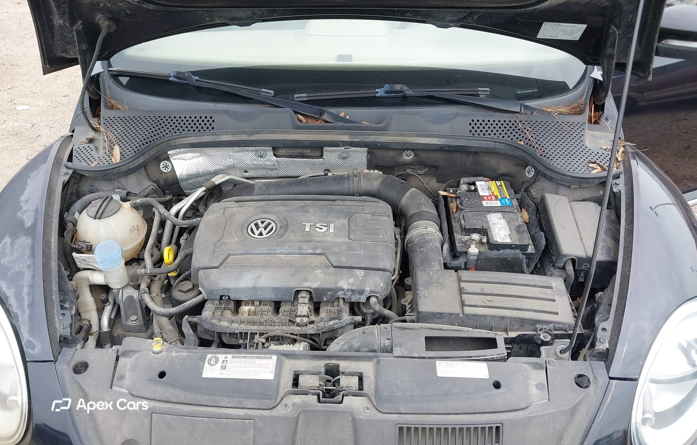 Volkswagen Beetle 2014