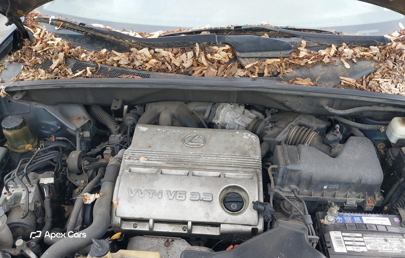 Lexus RX 2004