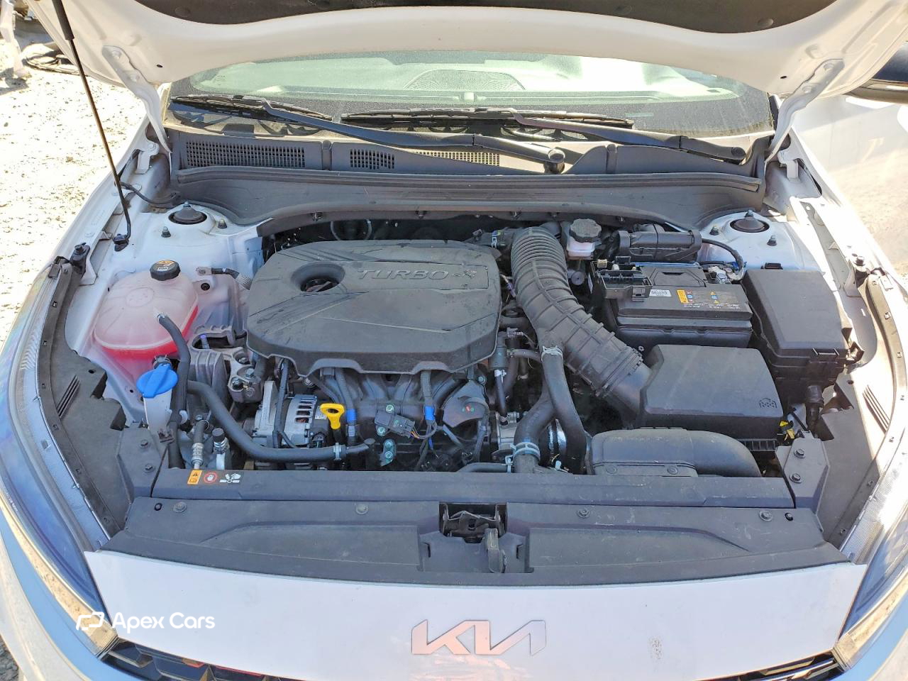 Kia Forte 2023