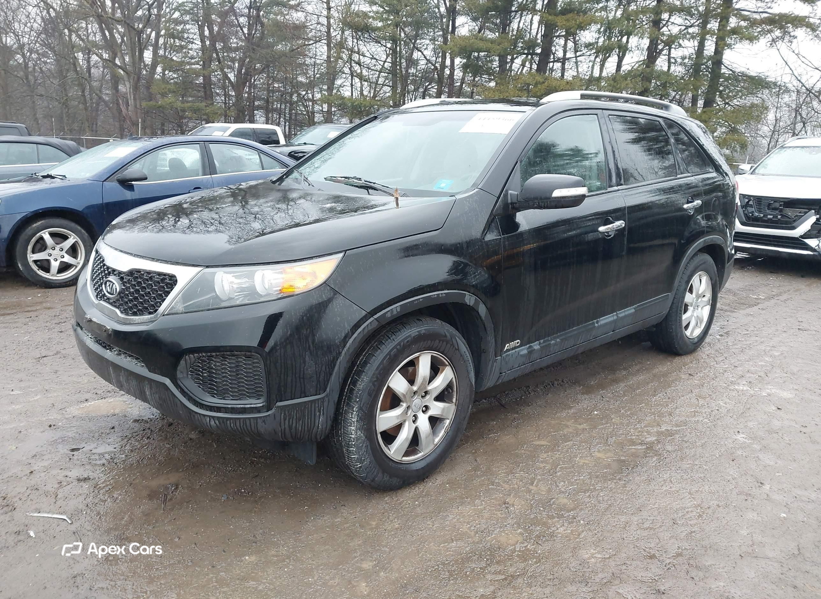 Kia Sorento 2013