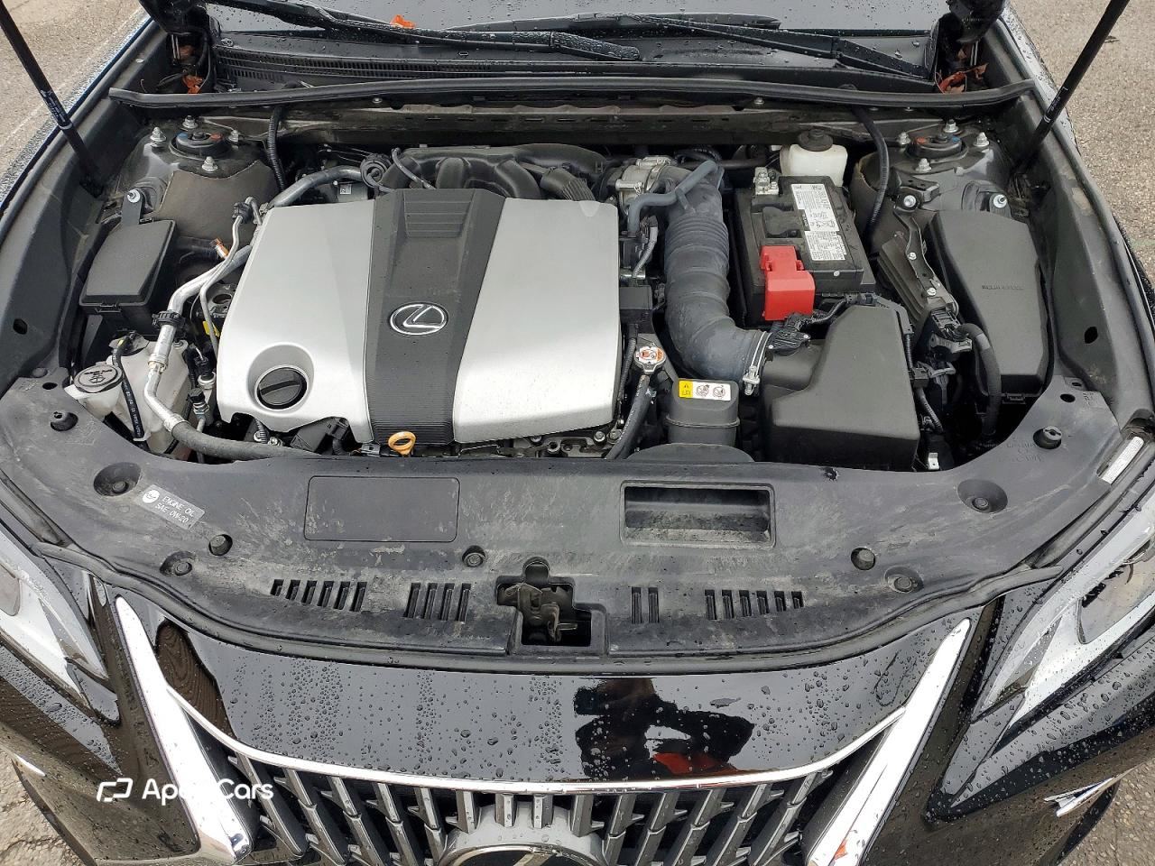Lexus ES 2024