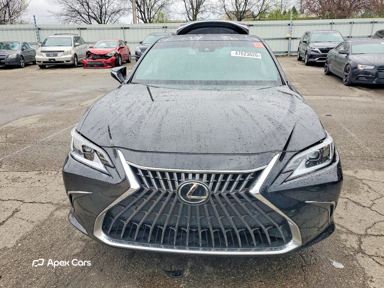 Lexus ES 2024