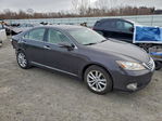 Lexus ES 2010