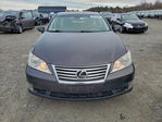 Lexus ES 2010