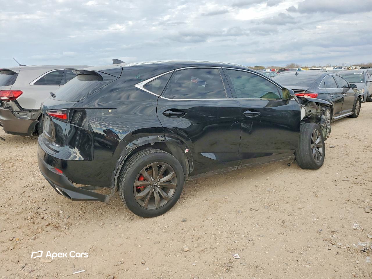 Lexus NX 2019