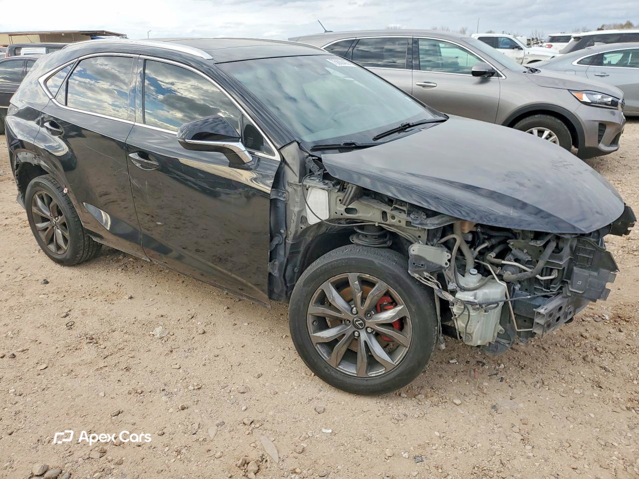 Lexus NX 2019