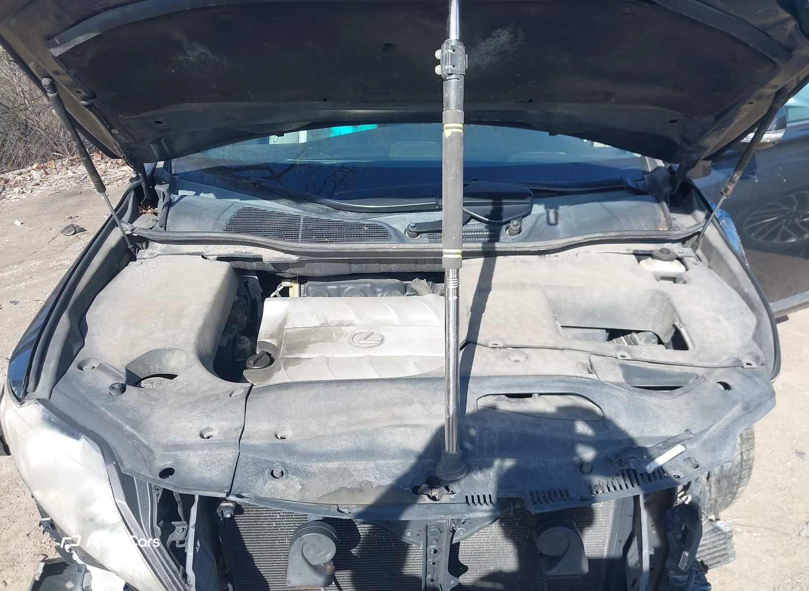 Lexus RX 2010