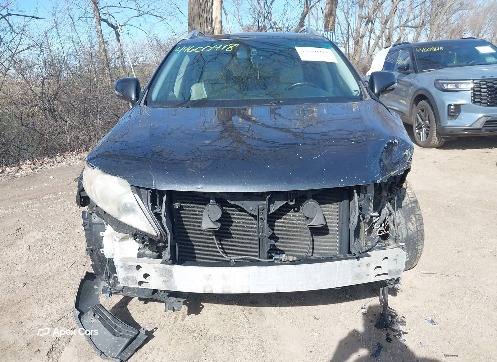 Lexus RX 2010