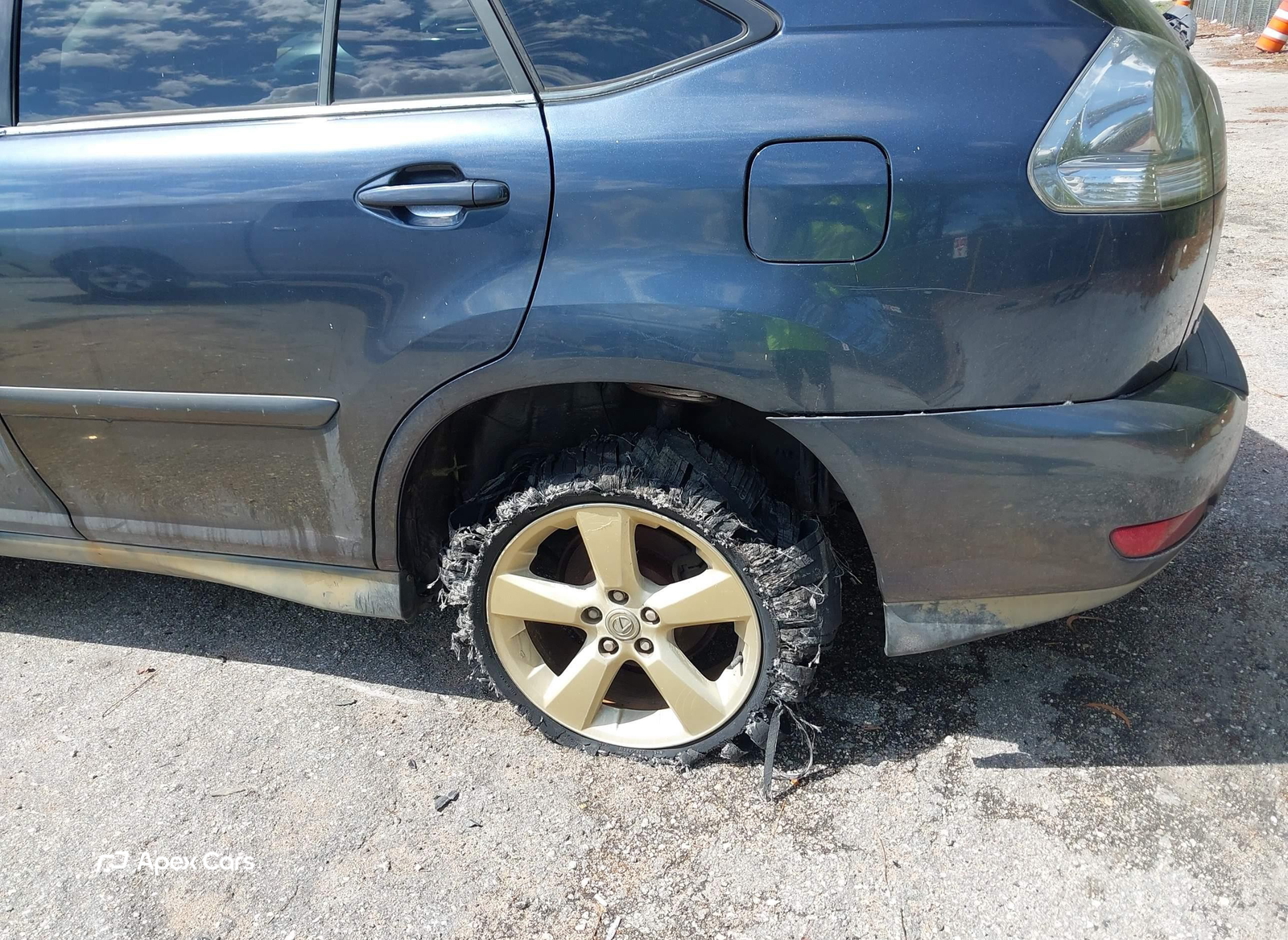 Lexus RX 2004
