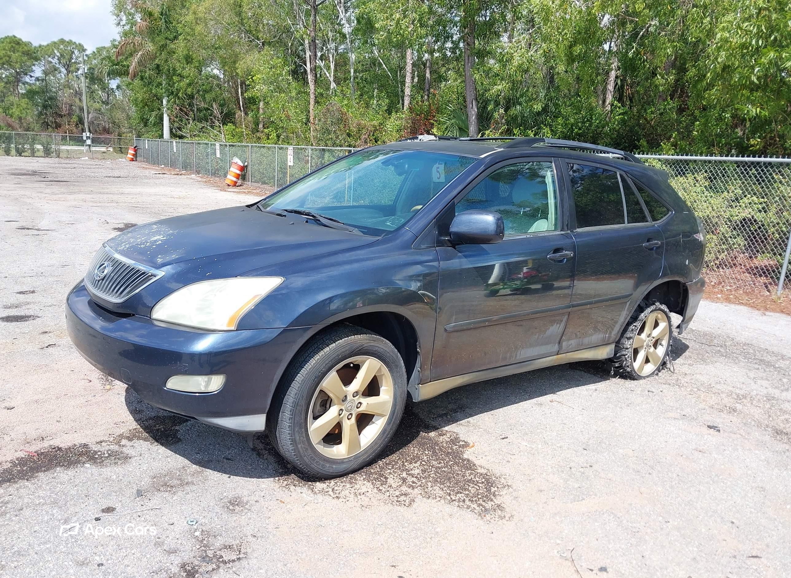 Lexus RX 2004